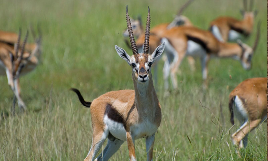 Itanagar Wildlife Sanctuary